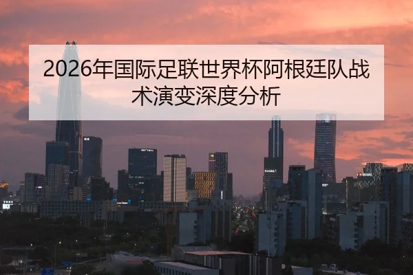 2026年国际足联世界杯阿根廷队战术演变深度分析