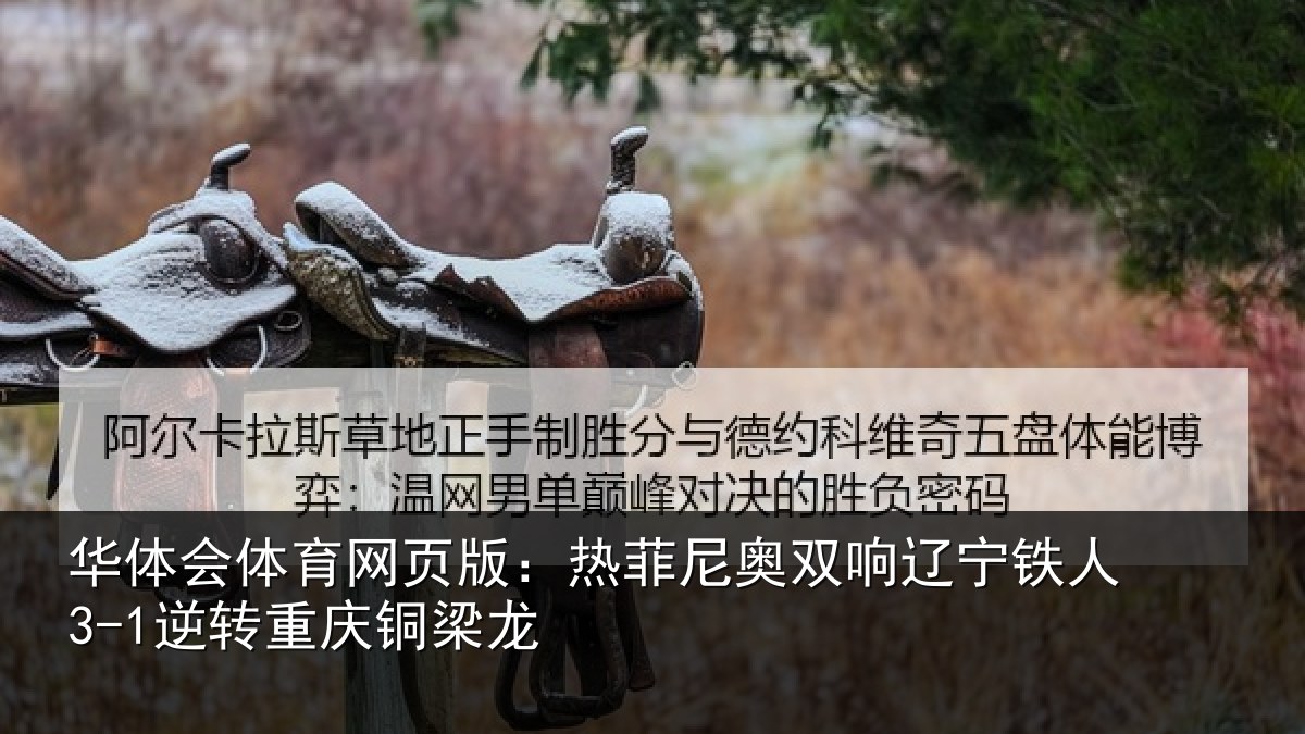 华体会体育网页版：热菲尼奥双响辽宁相关情况龙