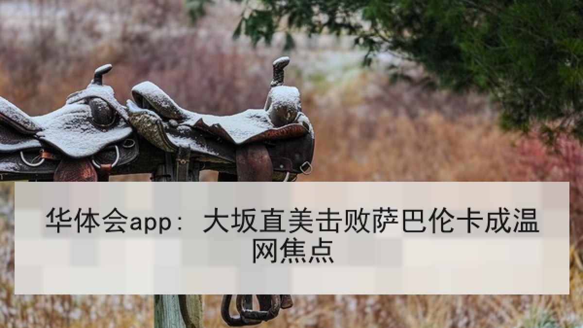 华体会app: 大坂直美击败萨巴伦卡成温网焦点