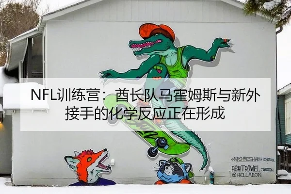 NFL训练营：酋长队马霍姆斯与新外接手的化学反应正在形成