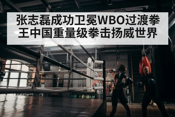 boxer training
